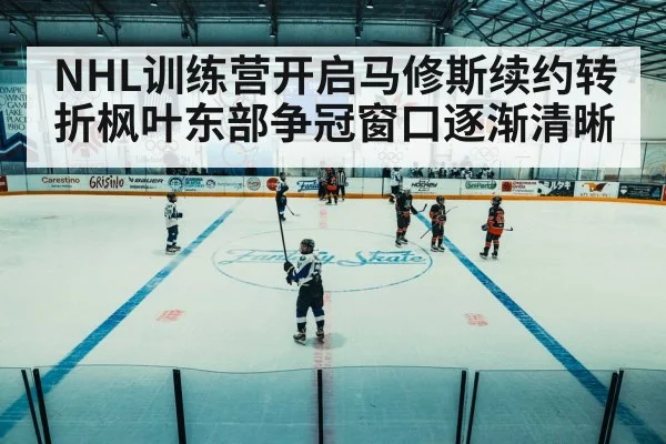 ice hockey arena game